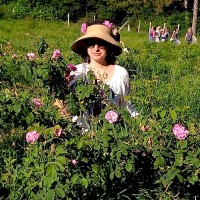 Teodora Goranova