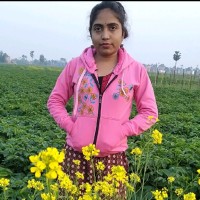 Raj Shil