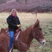 Traci Lennox Brunoff