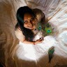 Athira Ramadasan