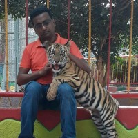 Md. Shahadat Hossain Suvo