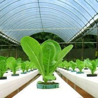 Asm Agro