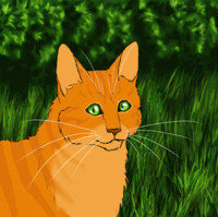 Firestar Thunderclan