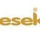 Eseka Services Lead Generation and Business Development