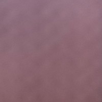 Y L