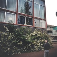 Víctor Sánchez Nuévalos