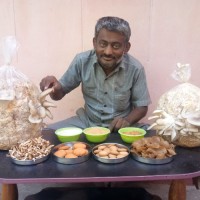 J Ramakrishna