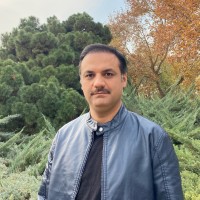 Masoud Jamshidi