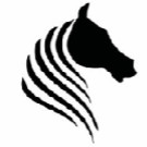 BGOLD Strategy Group