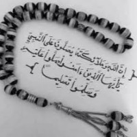 العنكبوت التكنلوجي