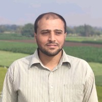 Islam Mohamed Afifi