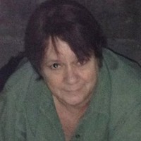 Vicki Palmer