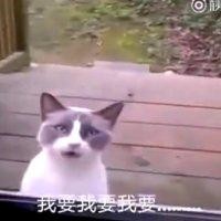 胡宗玺
