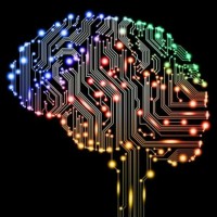 djamel-eddine mallek