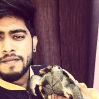 Subhash D V