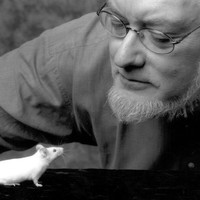 Mark Henkelman