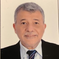 Khaled El Tayeb