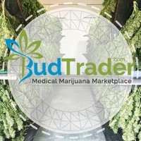 Dylan BudTrader