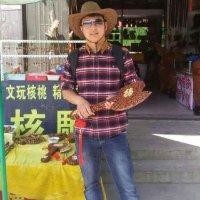 倪林杰