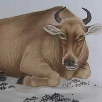 徐玉凤