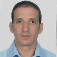 Mohamed Abdel Rahman Ali