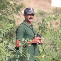 Yogesh Shinde