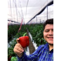 Victor Alvarez