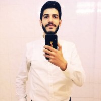 Fadi Alzarwi