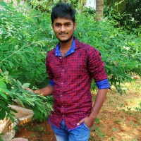 Srinath Madhaiyan
