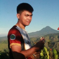 Reinhart Logronio
