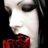 Marc Rose