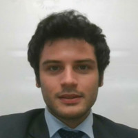 Ludovico Gerli