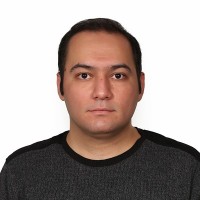Amir Hossein Madani