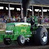 Wildbuck pulling team