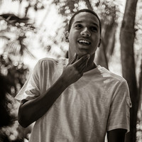 Terrence N