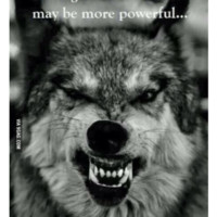 Stan Wolfson