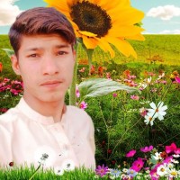 Wasimafzal Jam