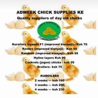 Adweek chicks