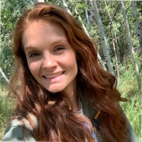 Lisa Donnici