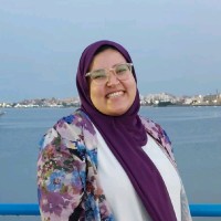 Nada Nasr