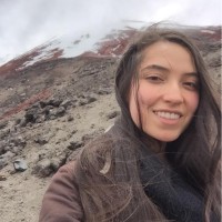 Alejandra Castañeda Becerra