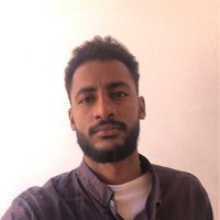 Hisham Elshaikh
