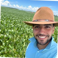 Pedro Vitor Barreto Neiva