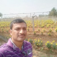 vijayeendra cn