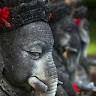 CHAUDHARI SAVAN