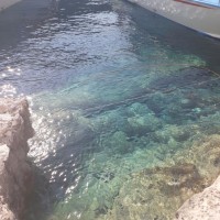 Michael Van den Abbeele