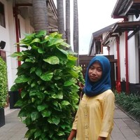 Ririn Mekarsari
