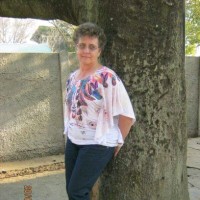 Lynn Rolfe