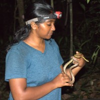 Krishnaveni C