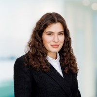 Ayse Cengiz Cekirdekci